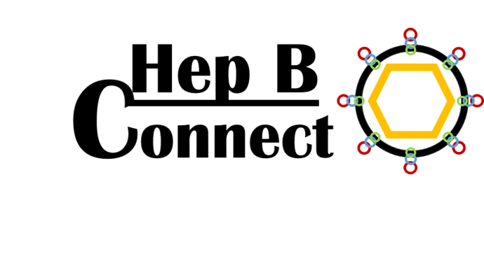 HepBConnect longer