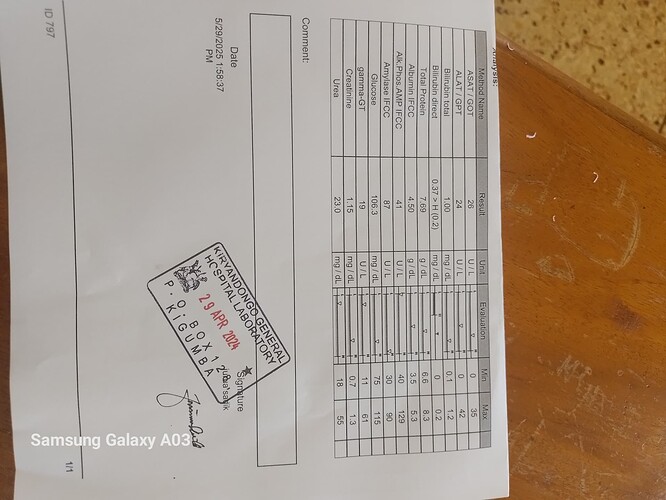 17485175432424091263932584344153