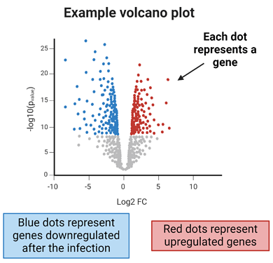 HepB figure 2